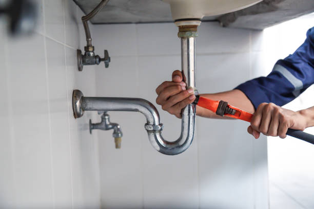 Best Local Plumber Services  in Sylvania, OH