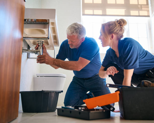 Best Toilet Repair Services  in Sylvania, OH